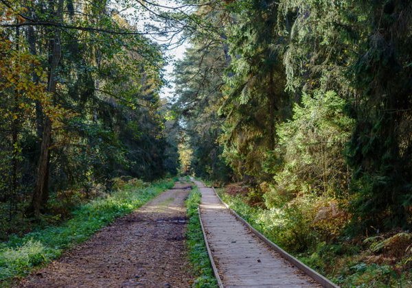 Индивидуальная экскурсия по Куршской косе - фото 3