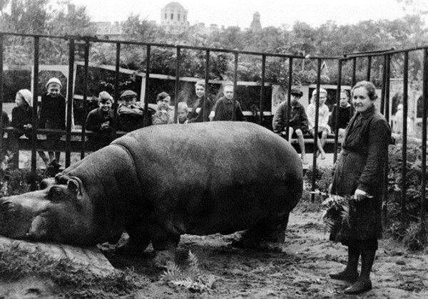 Как они выжили: быт блокадного Ленинграда - фото 3