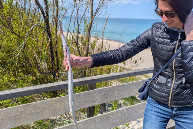 Фото экскурсии - Персональная прогулка по Куршской косе - 8