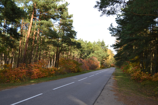 Фото - экскурсия: Персональная прогулка по Куршской косе