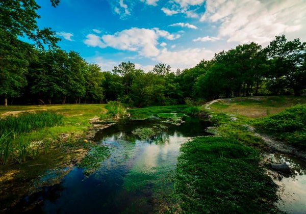 Черный пляж, золотые пески, экраноплан «Лунь» и лианы Самурского леса - фото 1