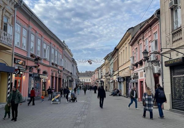 Нови-Сад, Сремские Карловцы, монастырь Крушедол и Петроварадинская крепость - фото 4