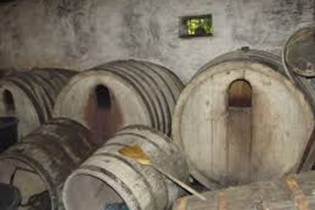 Фото экскурсии - Прогулка по живописной долине Дуная - 11