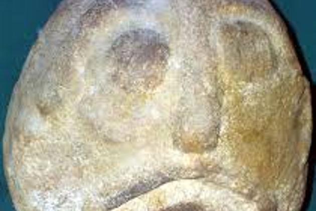 Фото экскурсии - Прогулка по живописной долине Дуная - 8