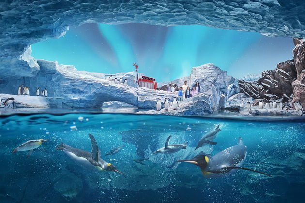 От полюсов до тропиков: тематический парк Sea World -5