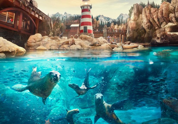 От полюсов до тропиков: тематический парк Sea World 