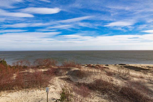 Фото - экскурсия: Уникальная экскурсия на Куршскую косу с посещением Танцующего леса и дюны Эфа