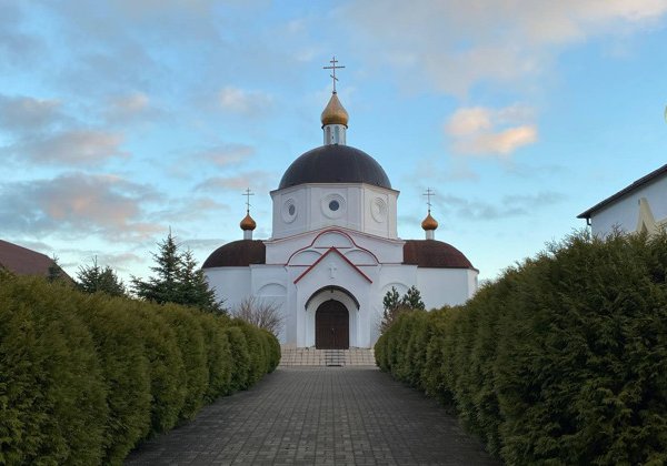 Экскурсия «Лес Генриха» – в край императорских угодий» (из Зеленоградска)