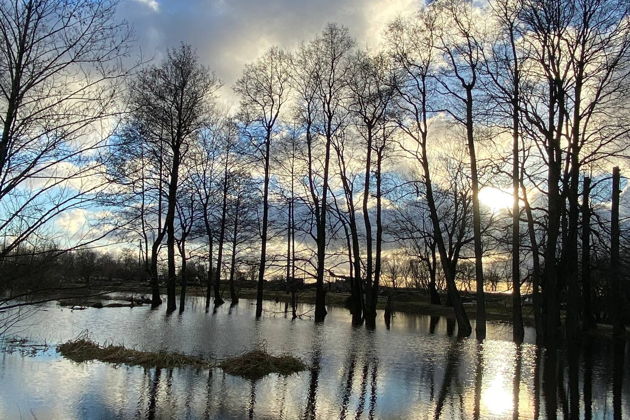 Фото экскурсии - Прогулка по Лесу Генриха - в царские охотничьи угодья - 13