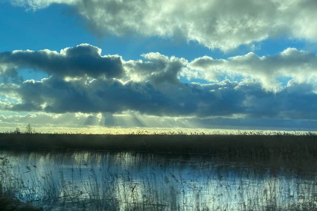 Фото экскурсии - Прогулка по Лесу Генриха - в царские охотничьи угодья - 14
