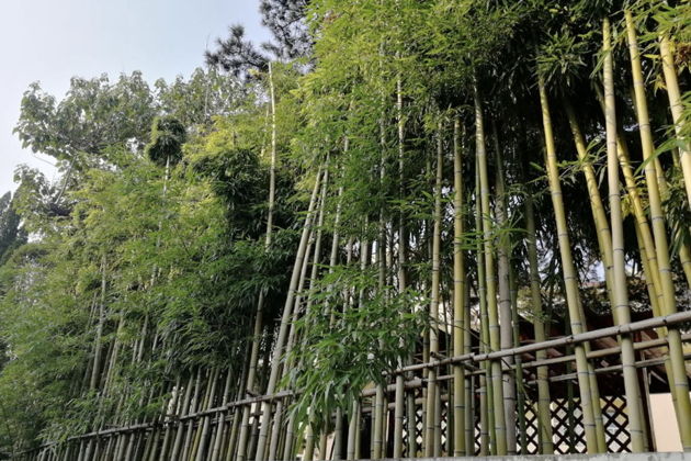 Фото экскурсии - Пятидневное путешествие из Владивостока в Хуньчунь - 15