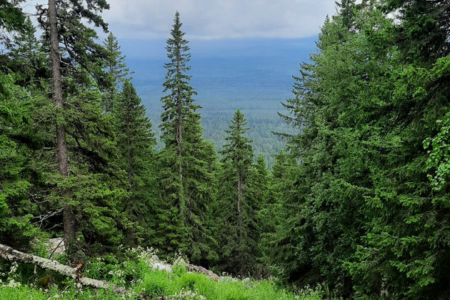 Фото экскурсии - Экскурсия на Зюраткуль из Миасса - 7
