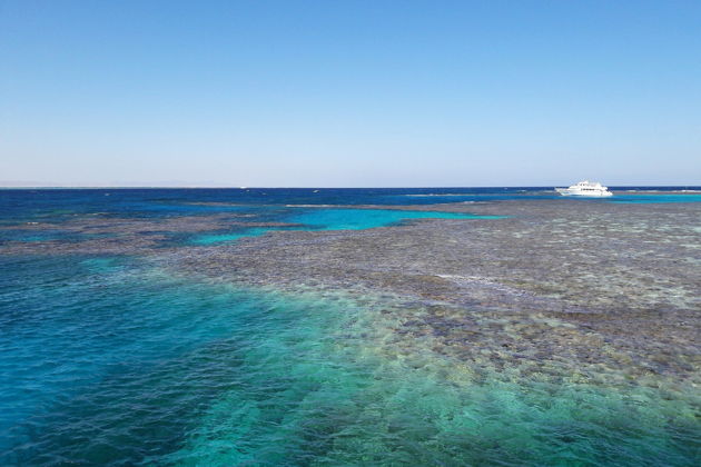 Морской круиз на Оранжевый остров -6