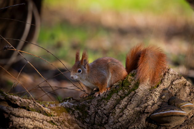 Фото экскурсии - Прогулка по озеру Шарташ и Каменным палаткам - 7