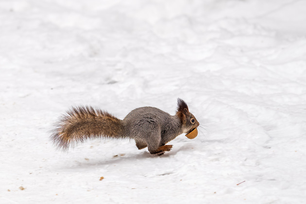 Фото - экскурсия: Прогулка по озеру Шарташ и Каменным палаткам