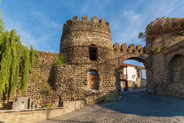 Фото экскурсии - Винный тур в Кахетию — дегустации, история и живописные виды Грузии - 7