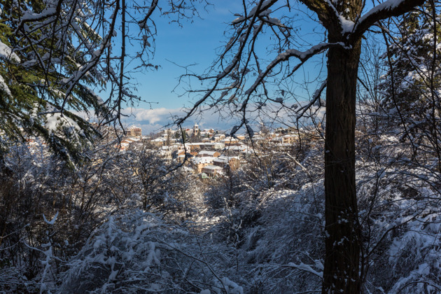 Фото - экскурсия: Винный тур в Кахетию — дегустации, история и живописные виды Грузии