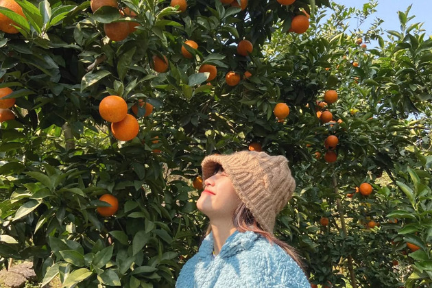 Фото - экскурсия: ЗИМНЯЯ СКАЗКА - Рукотворная Абхазия, Сухум, Кындык,Черниговка