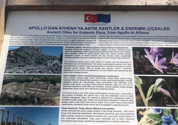 Фазелис Античный город -  индивидуальная экскурсия с профессиональным Гидом - фото 1