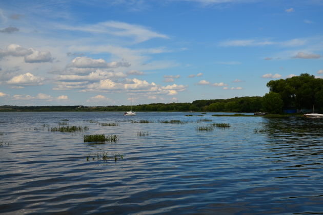 Переславская Венеция. Пешая экскурсия и водная прогулка-4