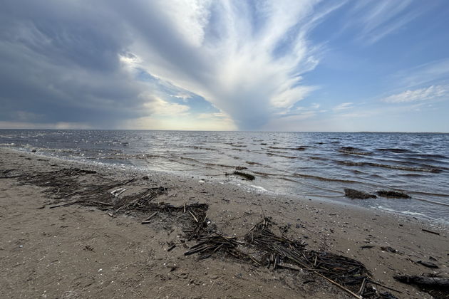 Фото экскурсии - Северодвинск и Белое море: музейная прогулка по северным красотам - 1