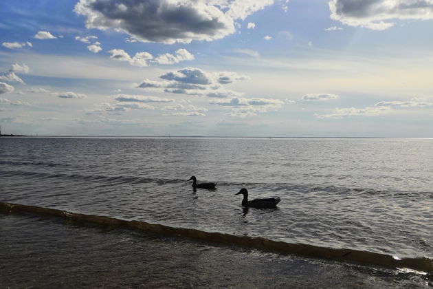 «‎Северодвинск и Белое море»‎: экскурсия с посещением музея-5