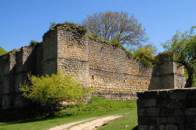 Поездка в Хучни, Лиановый (Самурский) лес-3