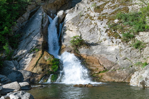 Поездка в Хучни, Лиановый (Самурский) лес-5