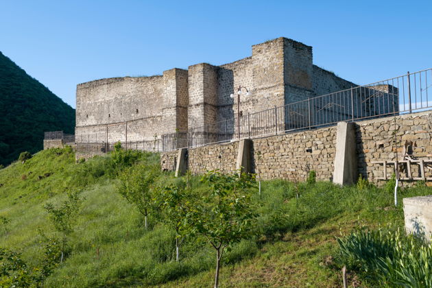 Поездка в Хучни, Лиановый (Самурский) лес-6