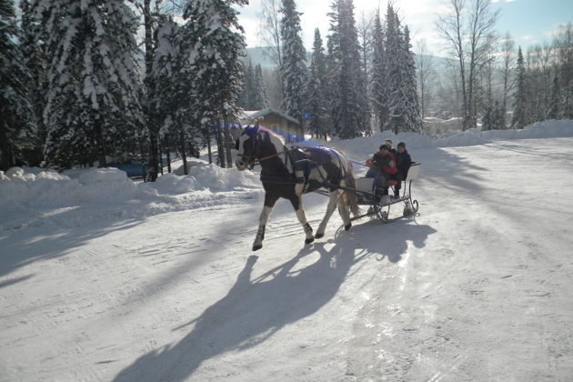 В гости к Сивке-Бурке-1