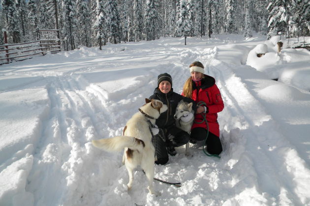 В гости к Сивке-Бурке-2