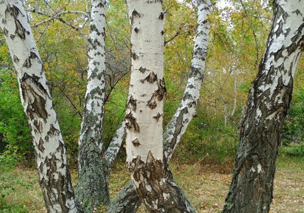 Прогулка по местам силы - фото 4