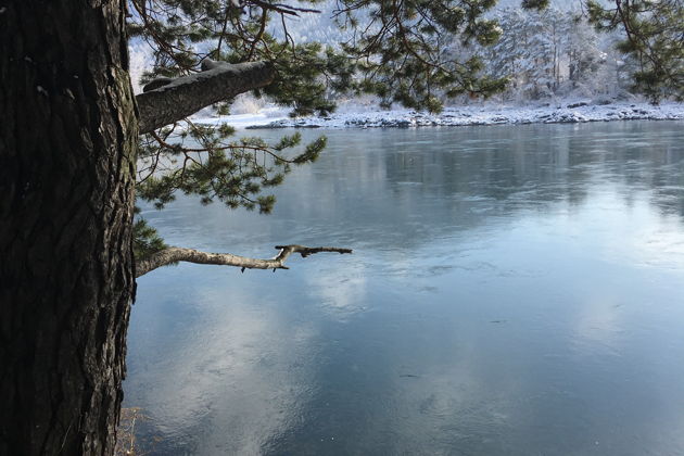 Лебединая песня-3