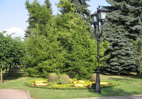 Крепость Ставрополь! Казачье наследие города. - фото 4