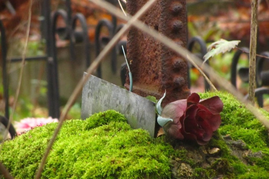 Смоленское кладбище - фото