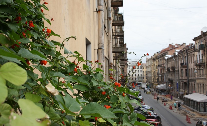 Улица Рубинштейна в Санкт-Петербурге