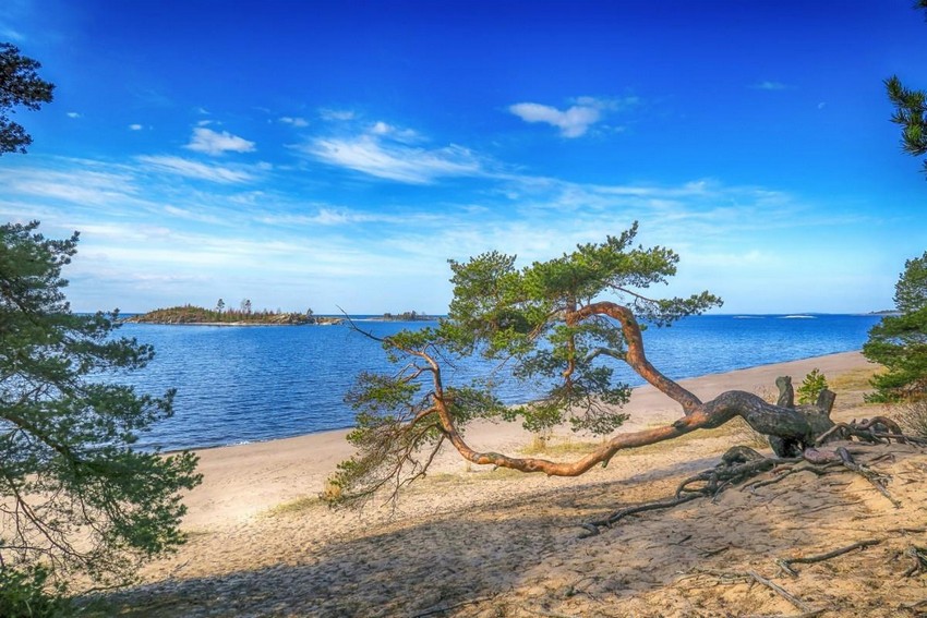 Поселок Куркиеки в Санкт-Петербурге