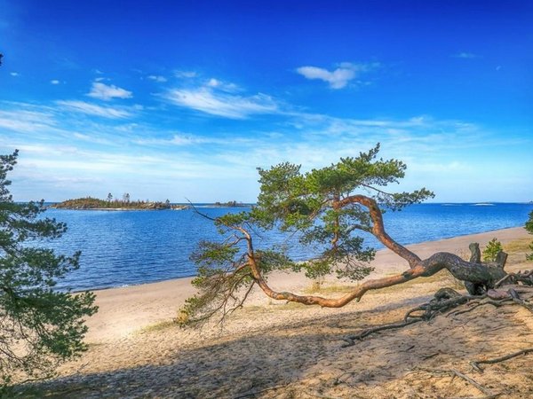 Поселок Куркиеки - Санкт-Петербург