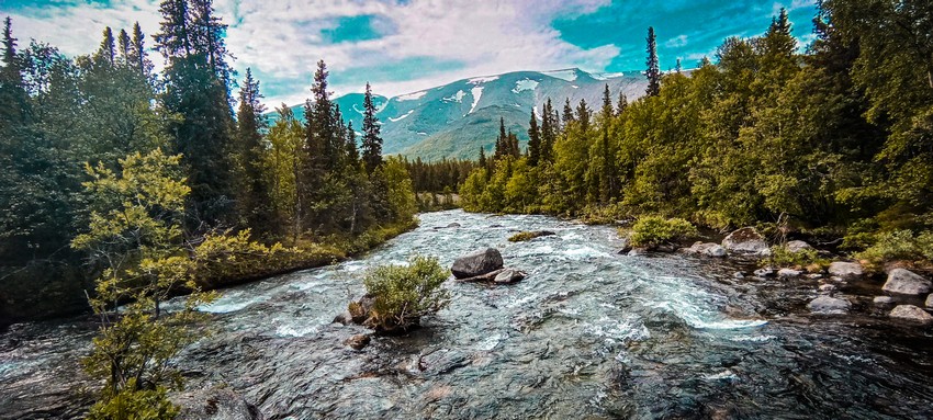 Качели в Мурманске