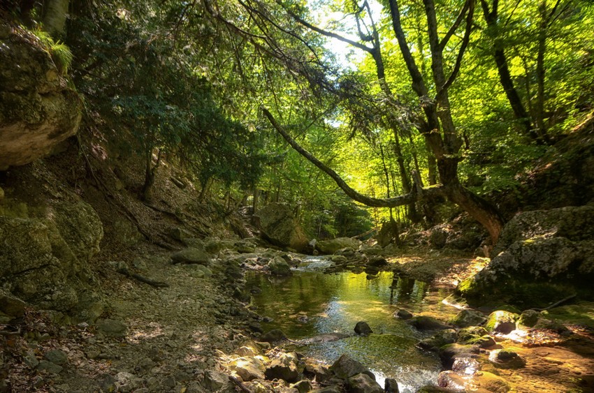 Фото - Большой каньон Крыма - Севастополь