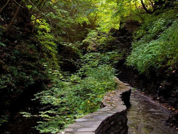 Самурский лес - Дербент