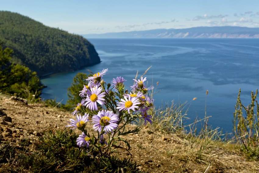 Байкальский заповедник в Танхое - Байкал