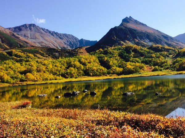 Вачкажец - Камчатка