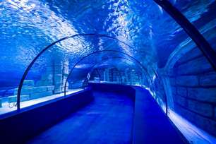Antalya Aquarium - 4 экскурсии