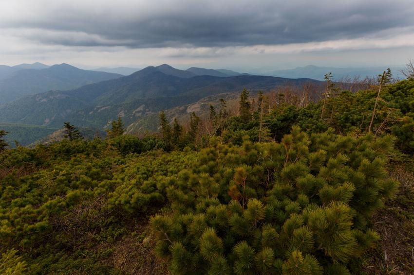Гора Облачная - Владивосток