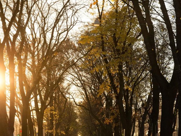 Конногвардейский бульвар - Санкт-Петербург