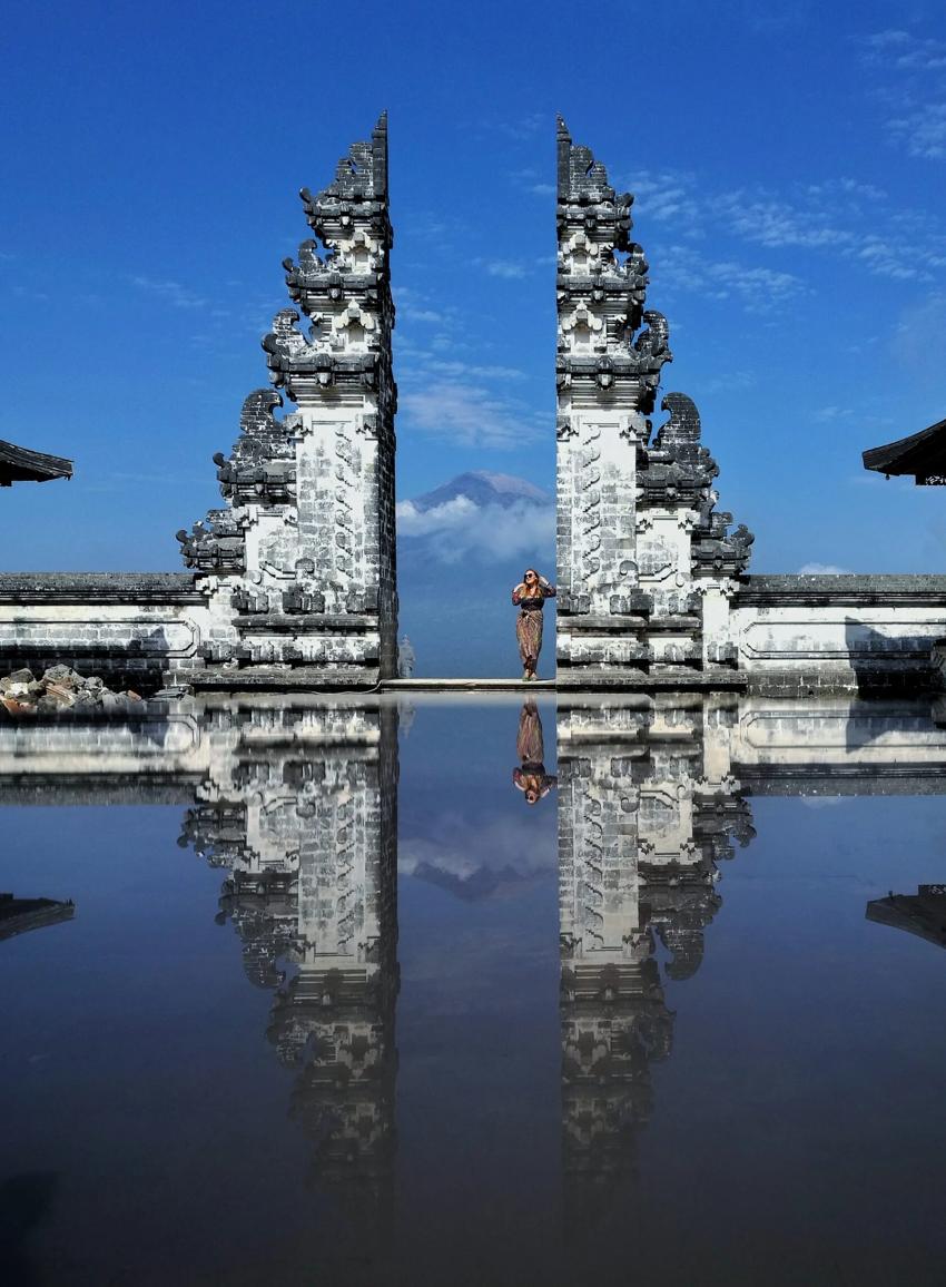 Лес обезьян