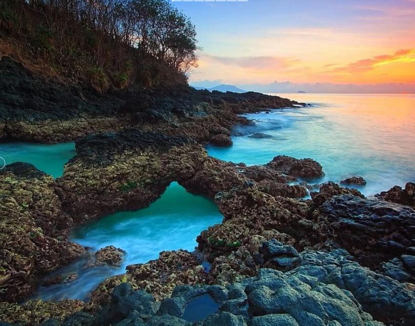 Сад орхидей - Бали