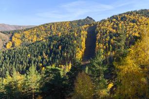 Фанпарк «Бобровый лог»