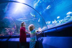 Океанариум Sea World